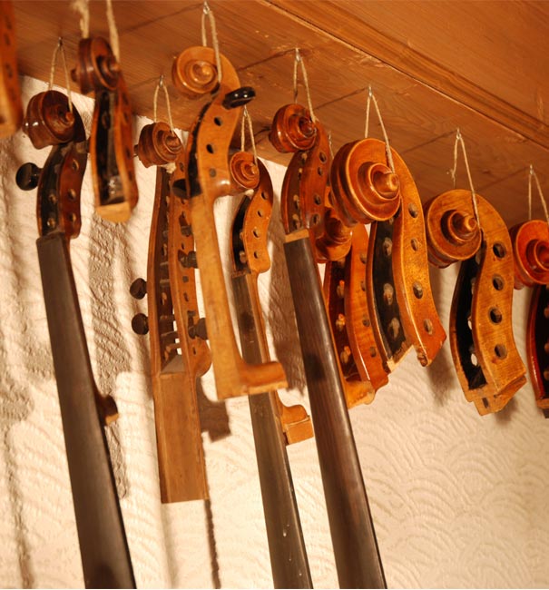 Schnecken